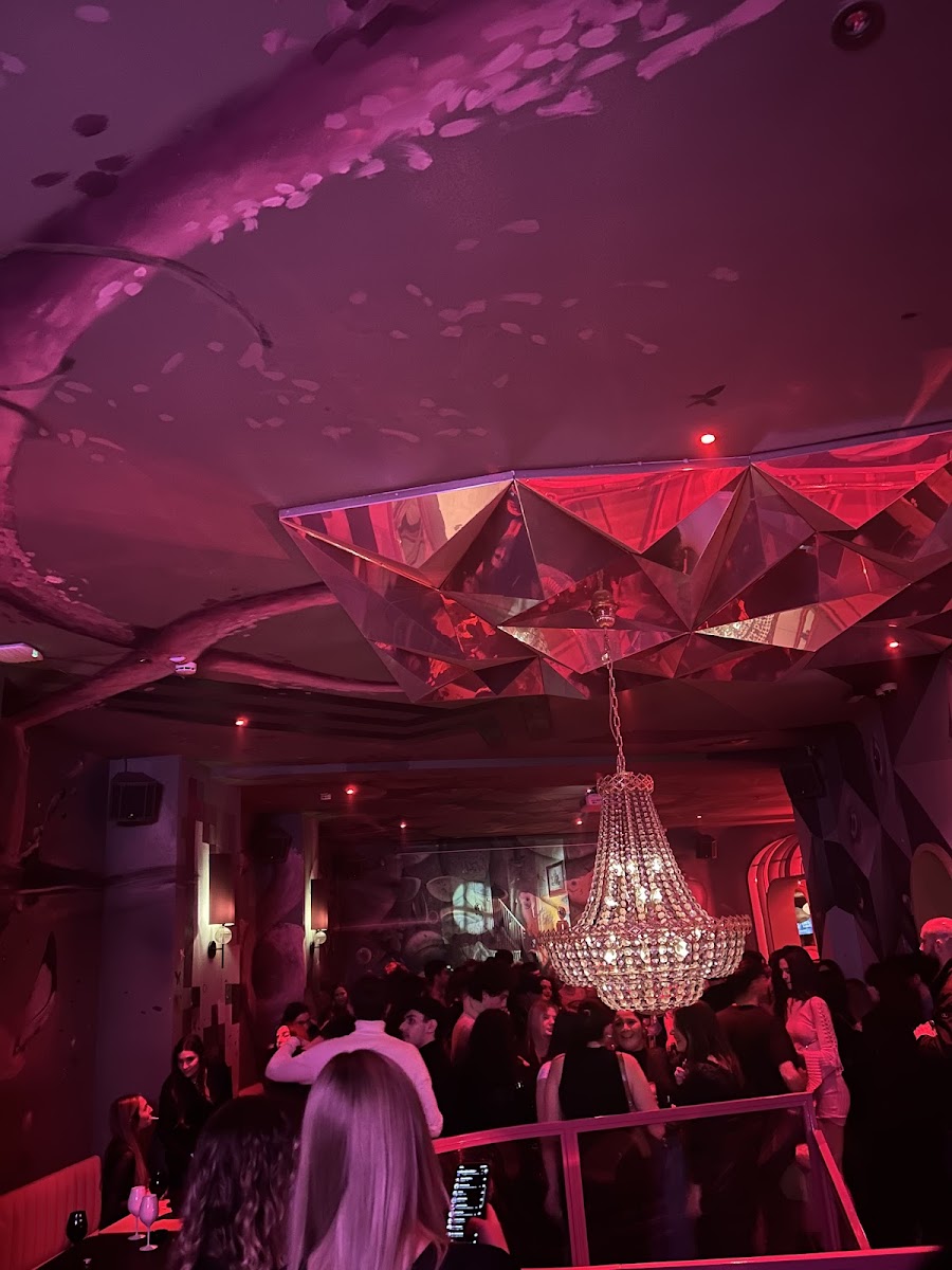 Flamingo - Club & Restaurant